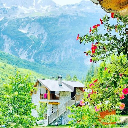 Krojet E Rrogamit Valbona Exteriör bild