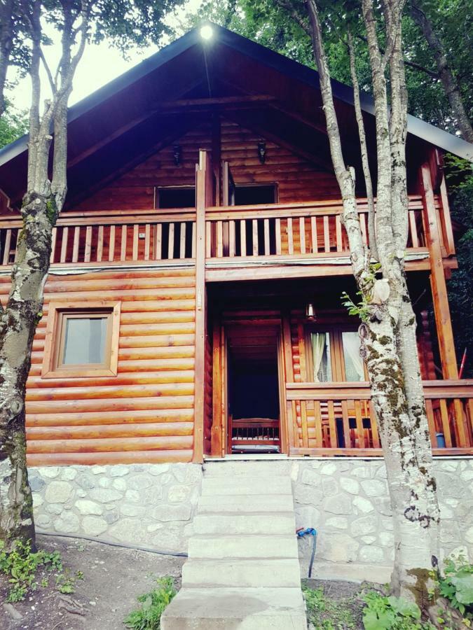 Krojet E Rrogamit Valbona Exteriör bild